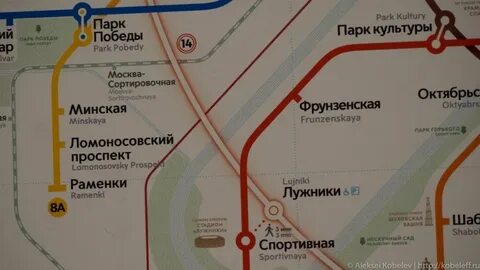 Парк победы какая ветка цветом