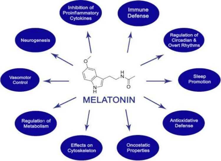 Как образуется мелатонин на схеме. Мелатонин картинки для презентации. Применение мелатонина у детей с проблемами развития. Melatonin Rhythm game. Мелатонин для чего нужен организму