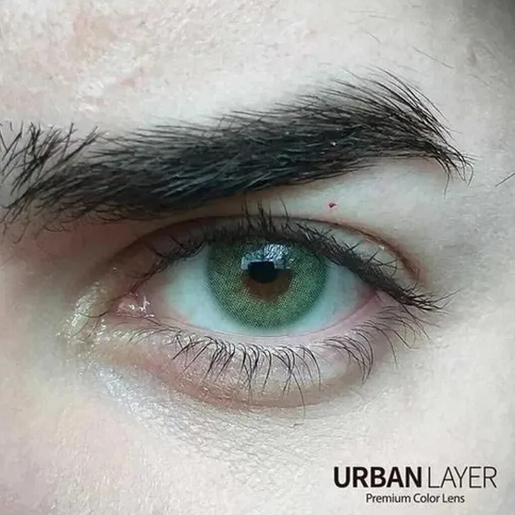 Urban layer. Urban layer линзы. цветные линзы urban layer. cloud green линзы. itself gray линзы.