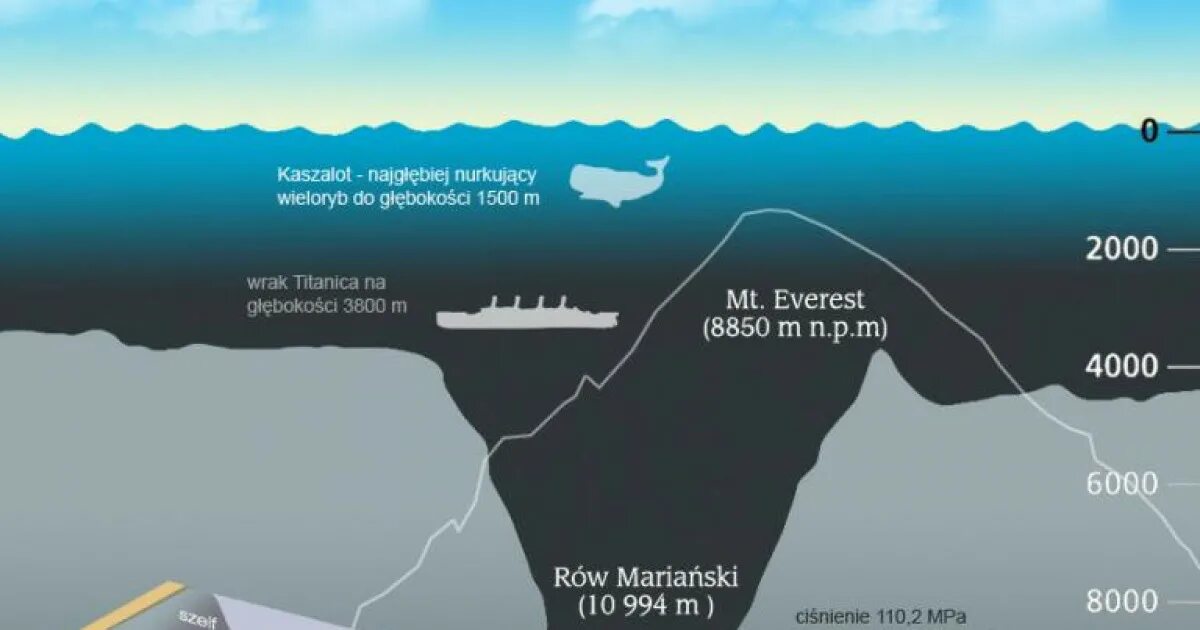 Плотный глубина. Марианская впадина схема глубины. Эверест и Марианская впадина. Глубина Марианская впадина глубина. Глубина до Марианской впадины.