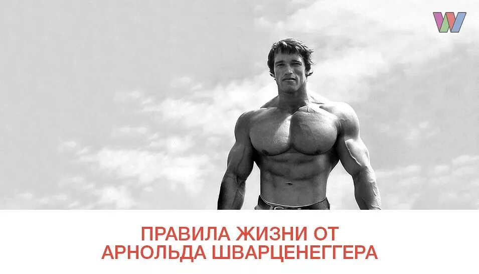 Шварценеггер быть нужным. Шварценеггер торс.