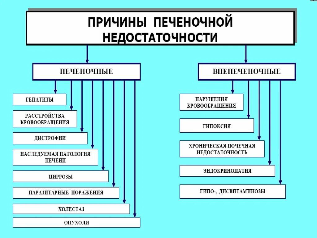 Причины печеночной недостаточности. Классификация печеночной недостаточности патофизиология. Патогенез острой печеночной недостаточности патофизиология. Печеночная недостаточность патофизиология этиология. Синдром печеночной недостаточности патофизиология.