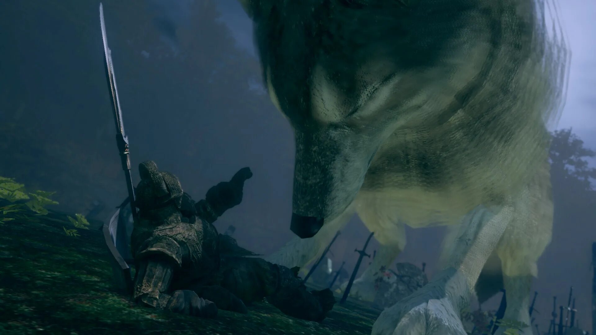 Dark souls 1 сиф великий волк. Сиф великий волк. Сиф великий волк. Сиф великий волк арт. Сиф великий волк.