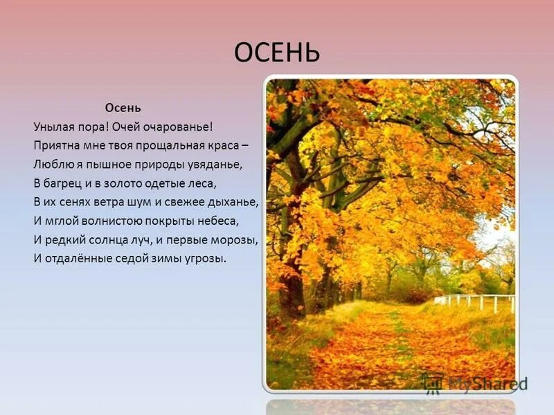 Стоит осенняя пора. Осенняя пора очей очарованье стих. стих про осень осенняя пора очей очарованье. стихи про осень унылая пора очей очарованье. кто написал осенняя пора очей очарованье.