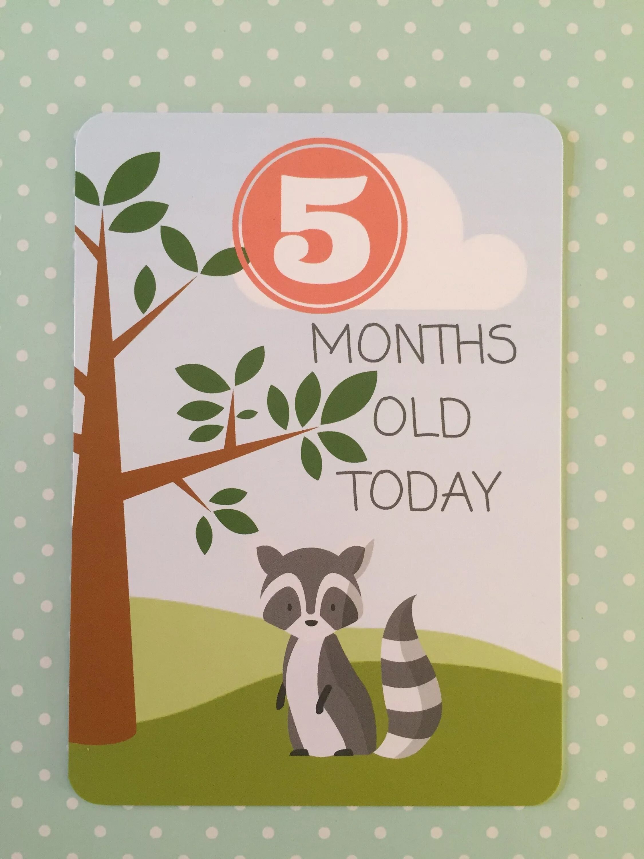 5 months. 5 months old. 5 months открытки. 5 month old baby. happy 5 months baby.