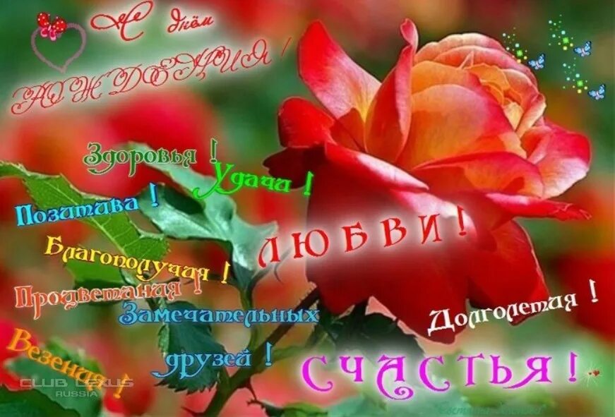 Именные светлану с днем рождения. Поздравления с днём рождения светик. с юбилеем светлана. светлана ивановна с днем рождения. поздравления с днём рождения женщине светлане красивые.