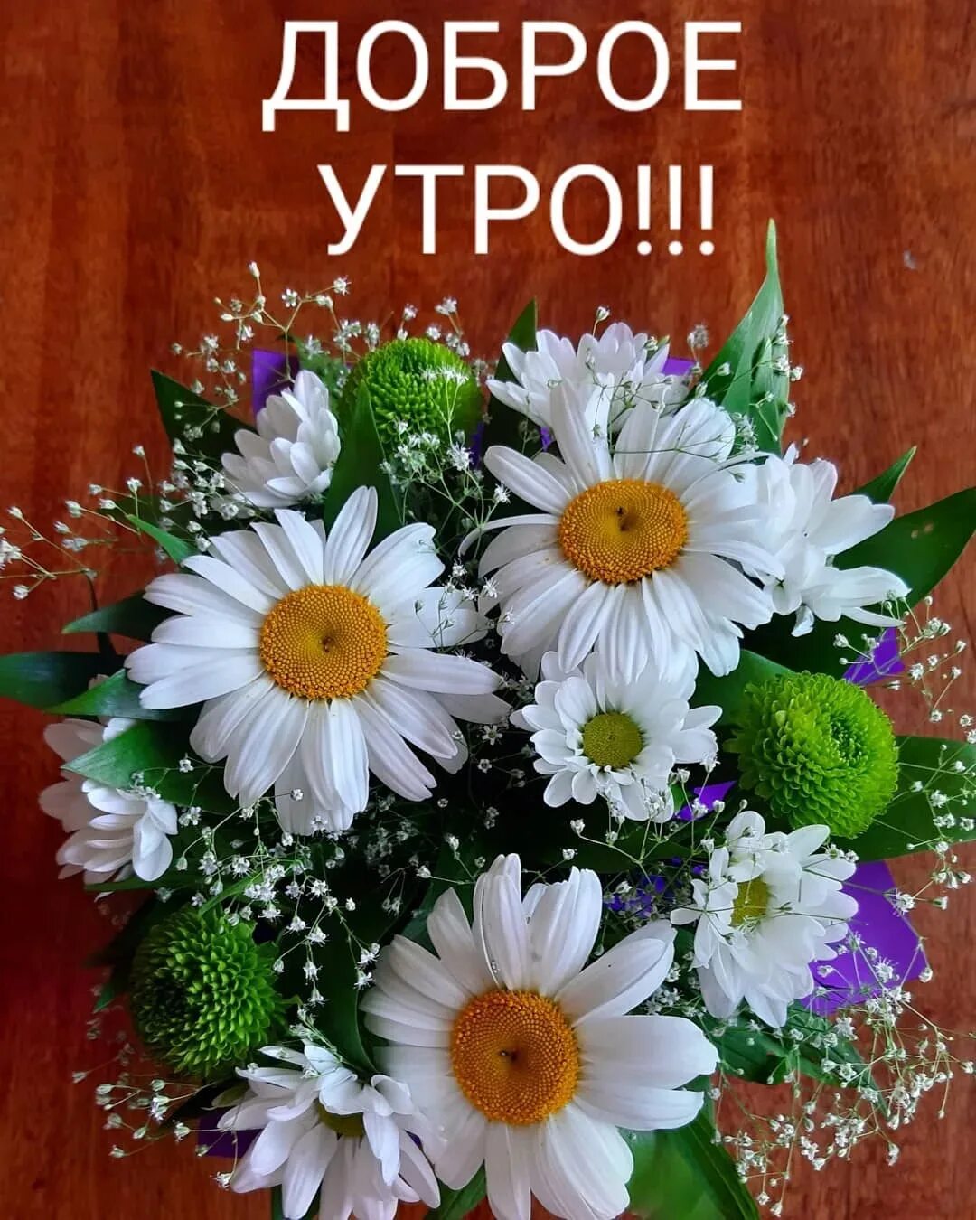 Всем людям доброе утро картинки. Открытки с добрым. открытки с добрым утром. картинки открытки с добрым утром. доброе утро успешного дня.