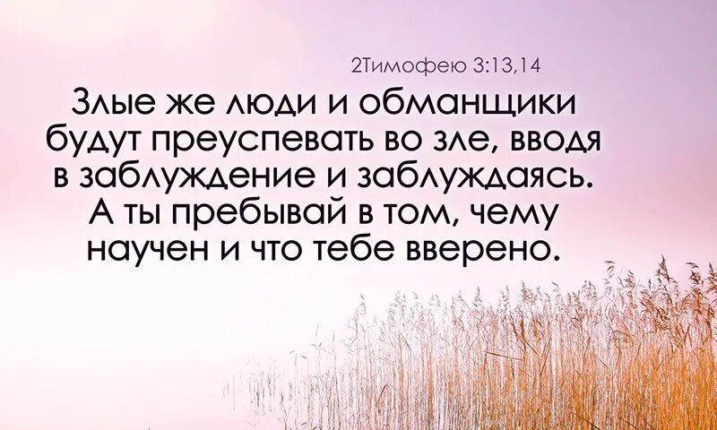 Праведный да творит правду еще и Святой да освящается еще. Человек обманщик. Злые люди и обманщики будут преуспевать во зле вводя. Неправедный пусть еще делает неправду нечистый пусть еще сквернится. Делающий неправду