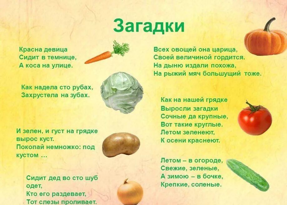 Загадки для детей 7 про овощи