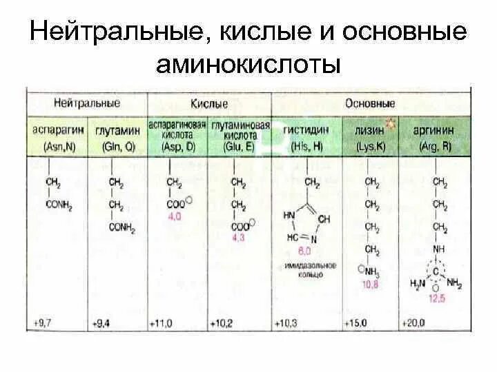 Кислотные белки