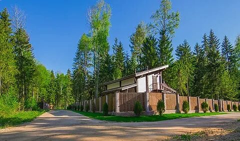 Форест коттеджный поселок спб