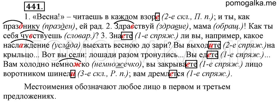 Решена русский язык 6. Русский язык 6 класс упражнение 441. Упражнение 441 по русскому языку 6 класс ладыженская 2. Русский язык 6 класс ладыженская упражнение 446. Русский язык 6 класс страница 45 упражнение 441.