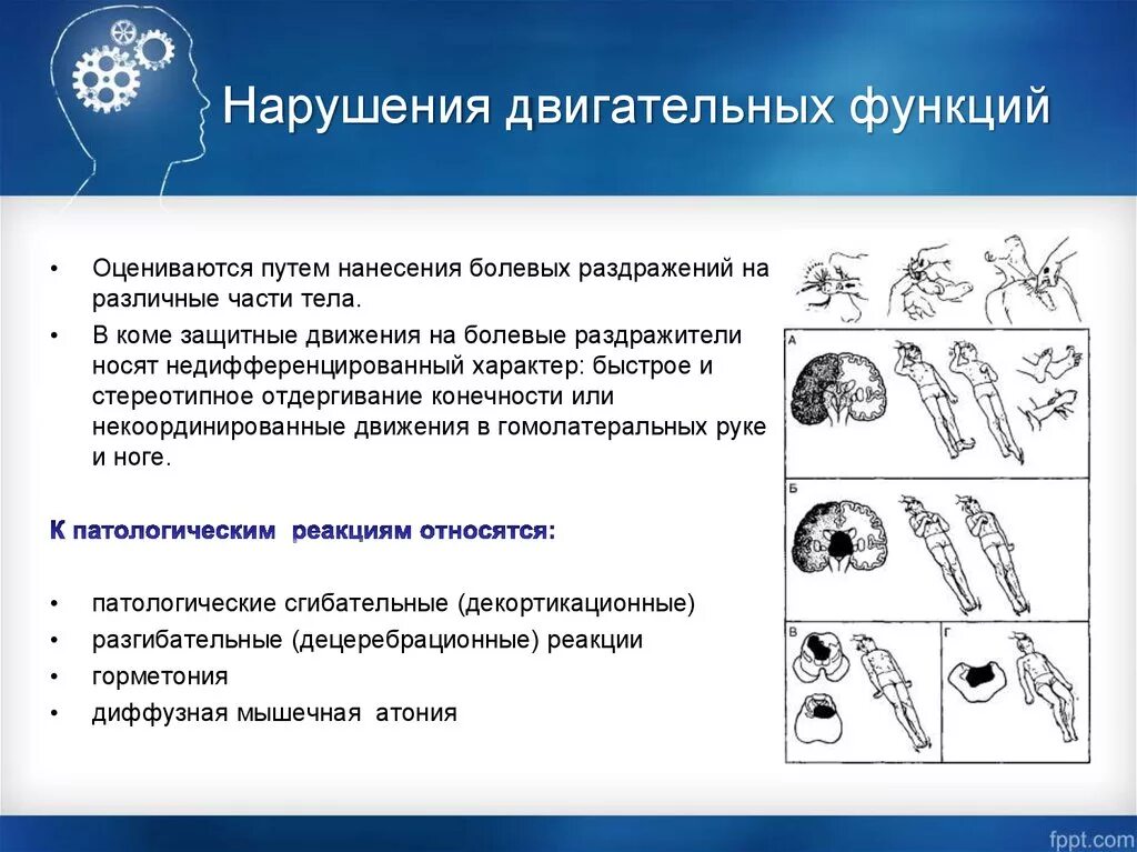 Расстройство двигательной функции. Нарушение двигательной функции. Нарушение двигательной функции нервной системы. Основные нарушения двигательной функции нервной системы. Формы нарушения двигательной функции.