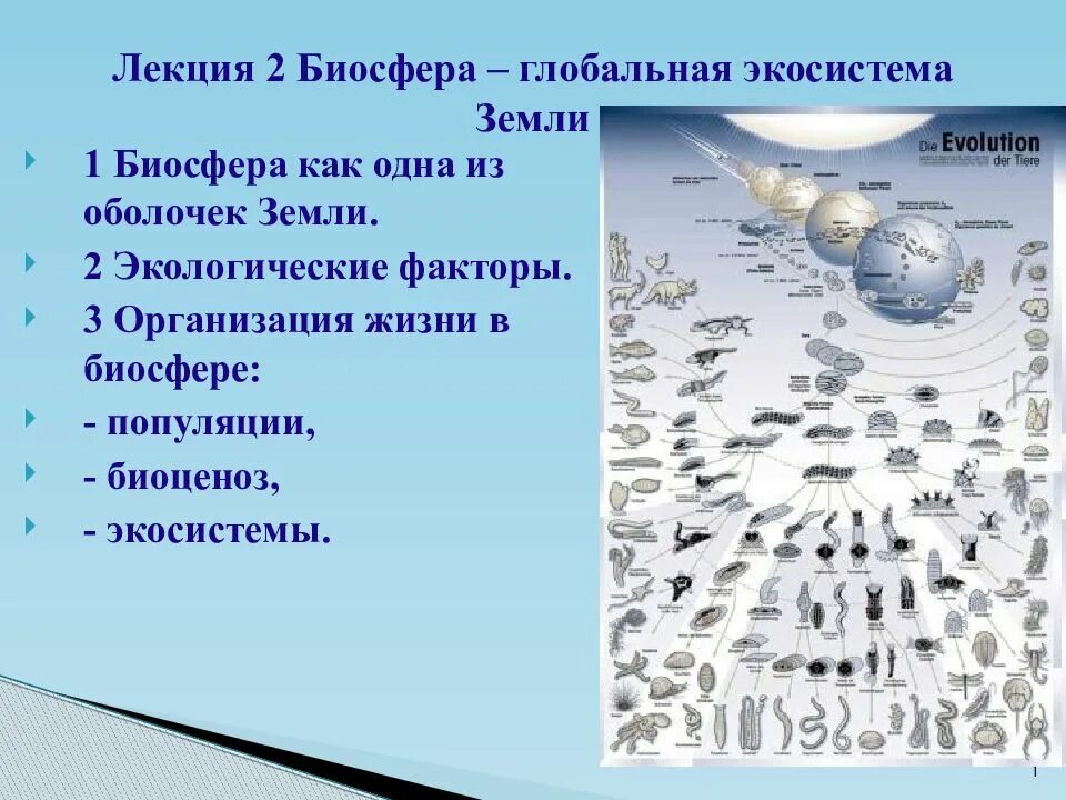 Самая большая экосистема на земле. Биосфера как Глобальная экосистема земли. Характеристика биосферы как глобальной экосистемы. Биосфера Глобальная экосистема лекция. Биосфера как экологическая система.