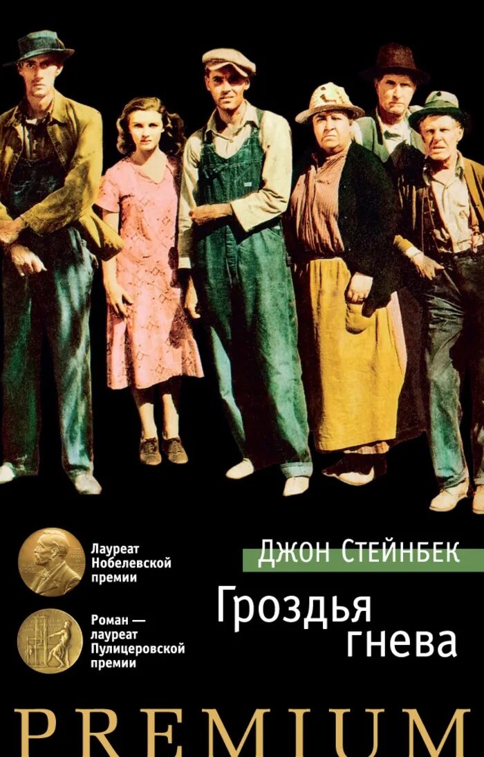 Shortparis гроздья гнева текст. Роза сарона гроздья гнева. джон эрнст стейнбек гроздья гнева. гроздья гнева джон стейнбек 1939. гроздья гнева азбука premium.