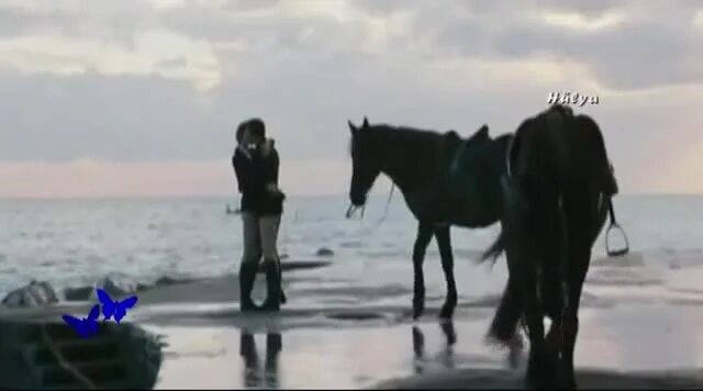 Marc anthony when i dream at night. I dream клип.