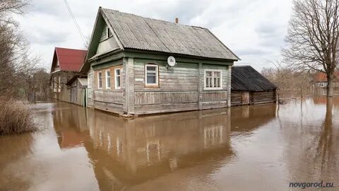 Гисметео крестцы
