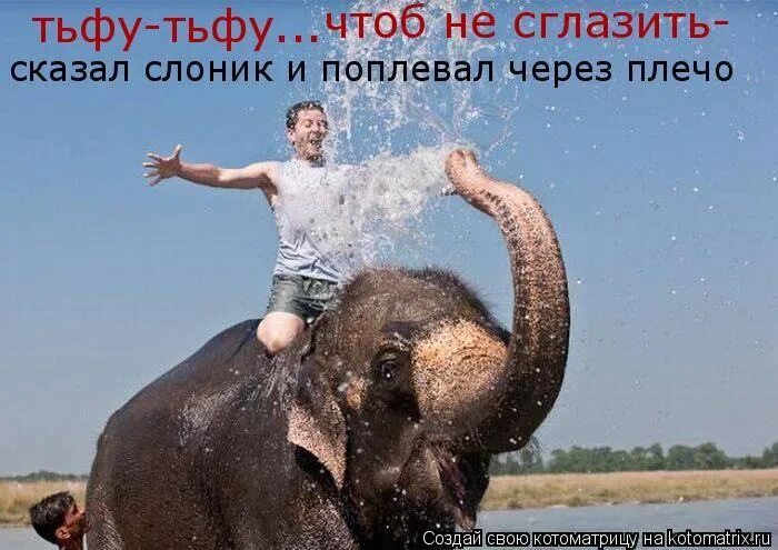 Наглый кот. Плюнь через левое плечо. Плевок через плечо. Плюнуть через левое плечо картинки. Сплюнуть через левое плечо.