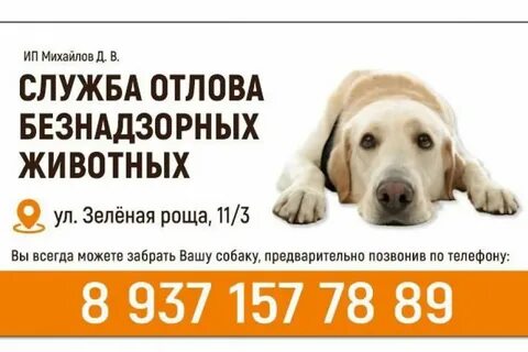 Номер телефона службы отлова собак