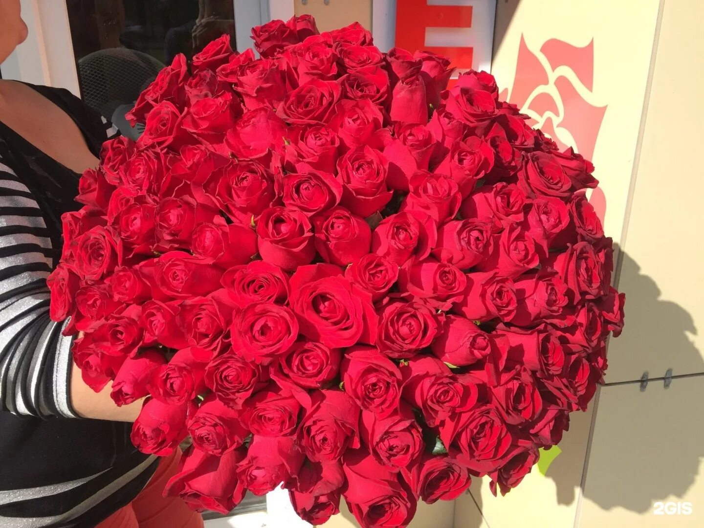 большой букет цветов дома. реальные фотографии роз. реальные фотографии роз. букет роз дома. большой красивый букет дома.