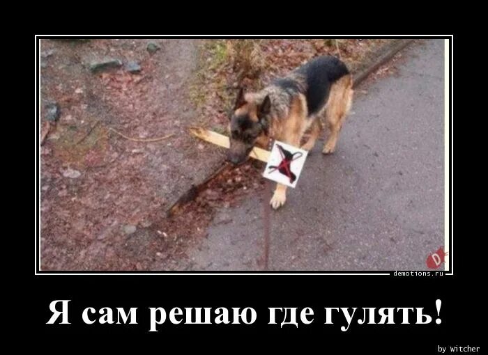 Я сама решу где