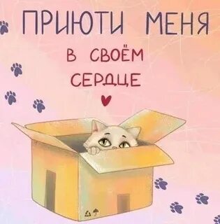 Приюти меня