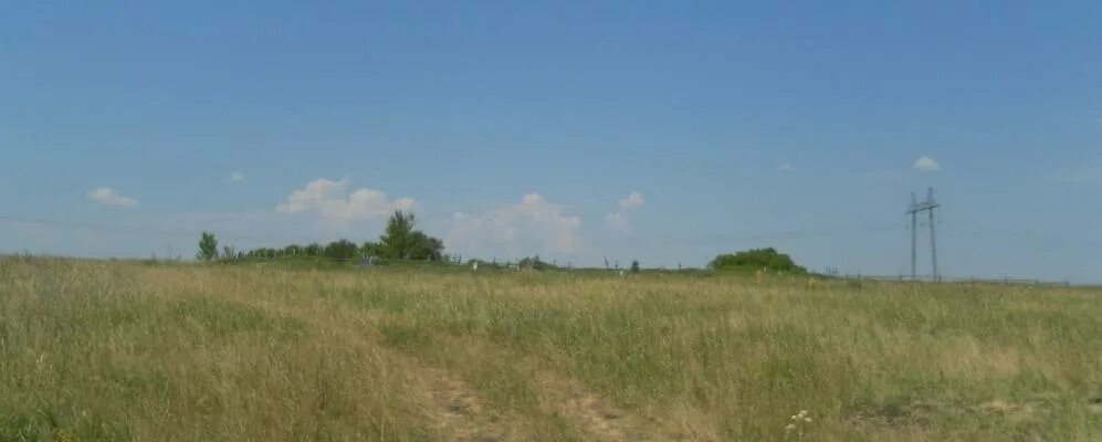 Село королевка новосибирская область. Село андреевка киевская область. Королевка деревня. Село королевка. Королевка деревня.