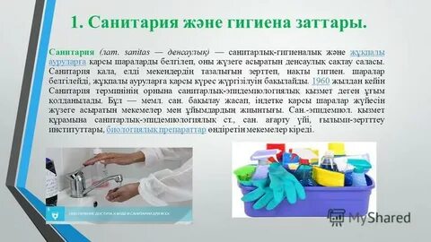 Тай әйелімен секс порно онлайн