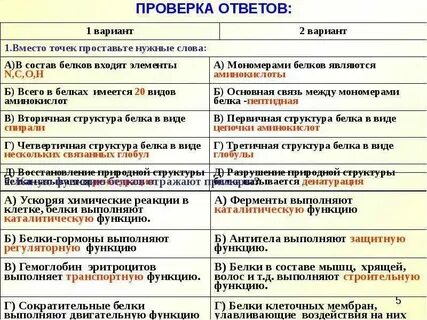 Тесты белки химия