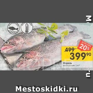 Свежая форель в магазине