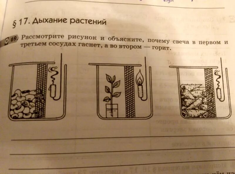 Рассмотрите изображенный опыт. Рассмотрите рисунок объясните. Рассмотрите рисунок 1 3. Рассмотрите рисунок на котором изображен опыт семенами. Рассмотрите рисунок о чём свидетельствует опыт изображенный на нем.