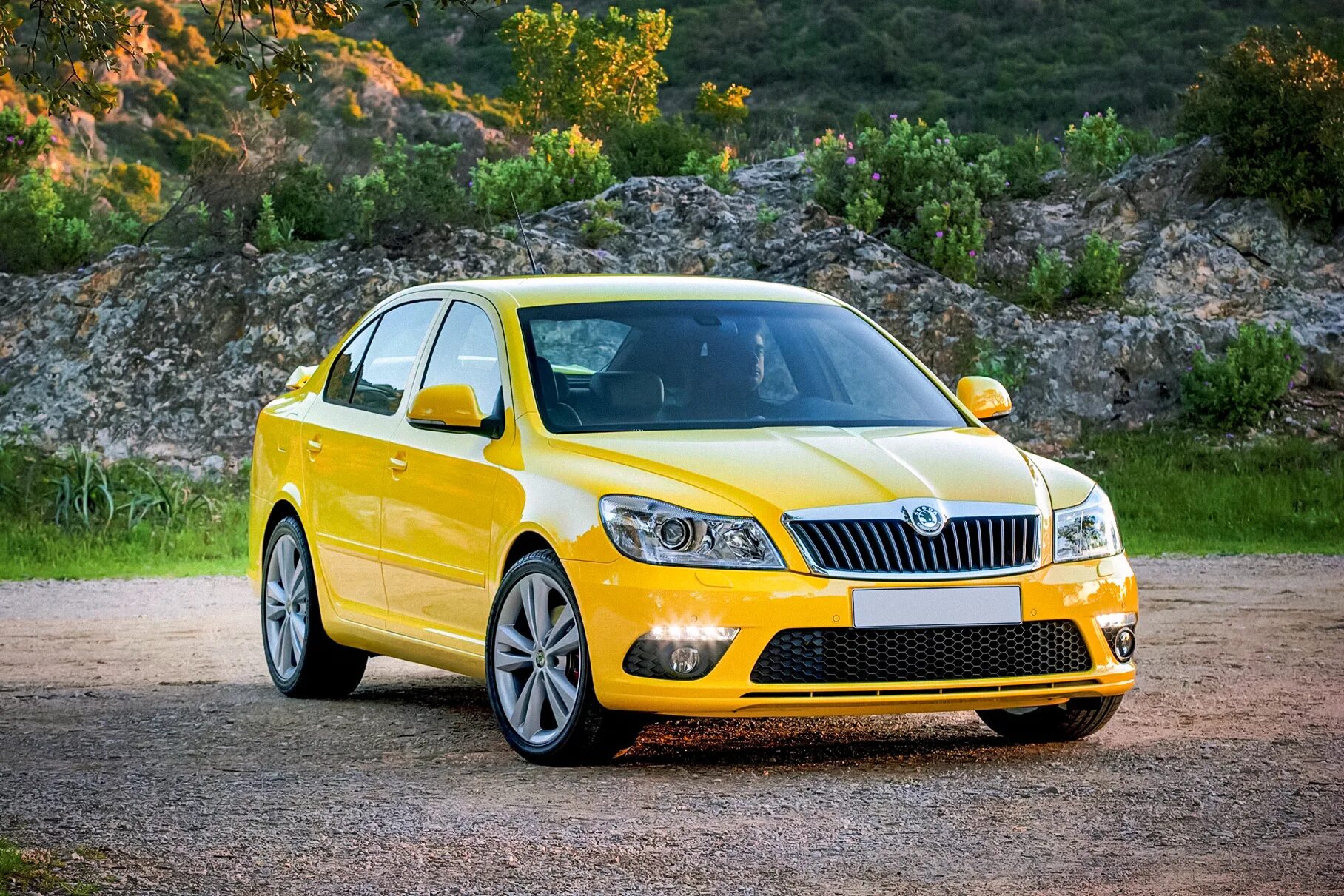 Обзор skoda