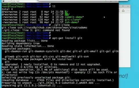 Dev demo