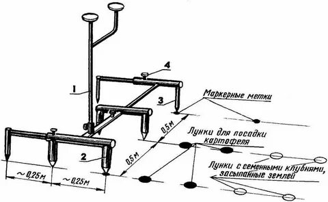 Расстояние между боровками при посадке картофеля