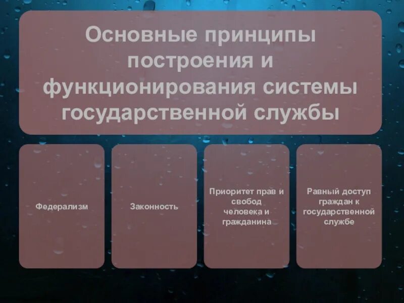 Основные принципы функционирования организаций. Принципы построения государственной службы. Принципы построения и функционирования государственной службы. Основные принципы построения и функционирования системы госслужбы. Принципы системы государственной службы федерализм.