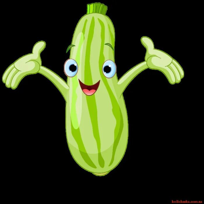 Овощи кабачок. Кабачки на столе. Музыкальный кабачок. Кабачок. Урожай кабачков.