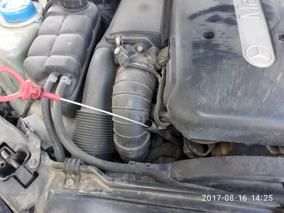 Как проверить масло 211. Щуп акпп мерседес w210. щуп акпп w220 s600. щуп масляный мерседес w211 2.2 cdi. щуп масляный мерседес w220.