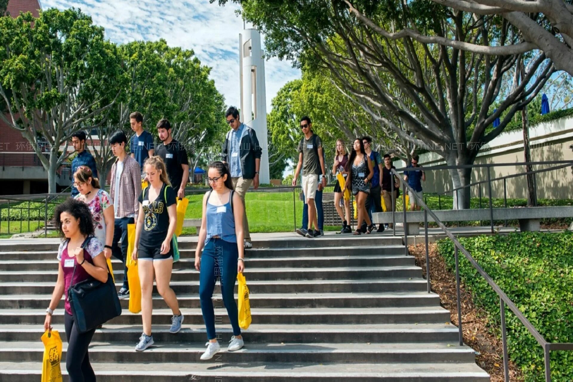 Калифорнийский университет long Beach. Калифорнийский университет связанный с бегом. Калифорния обучение. California State University student Life.