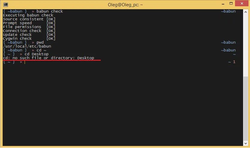 Bash no such file or directory