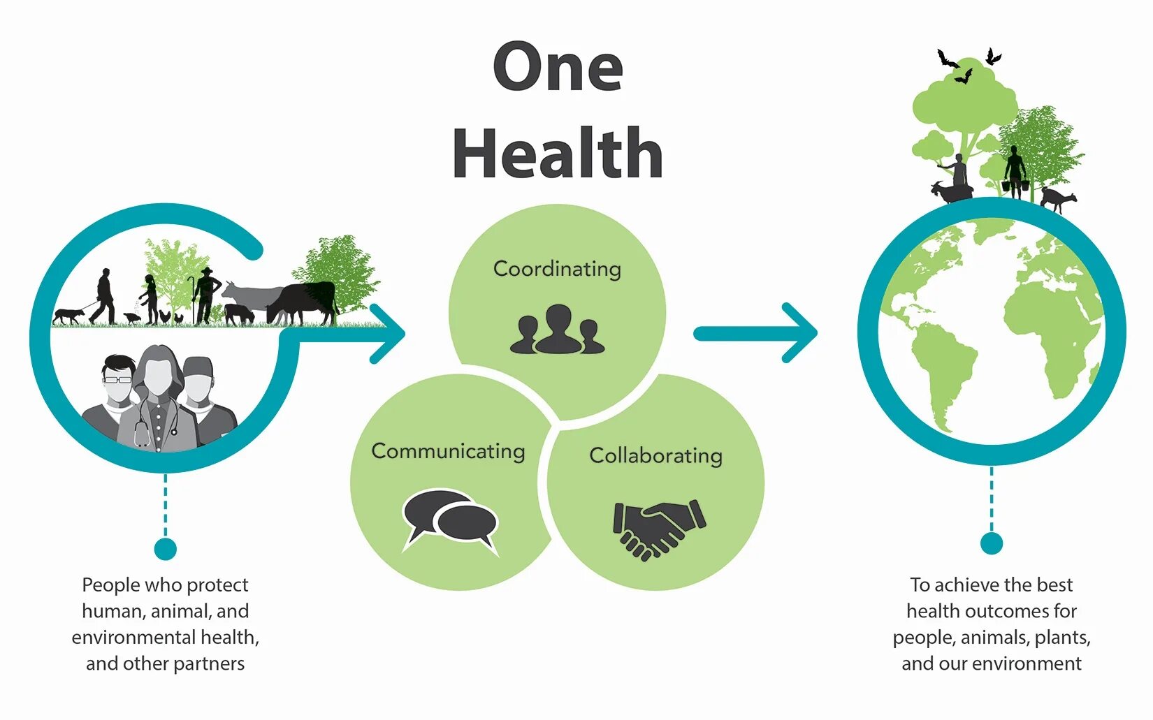 Imaging environment. One Health. Humans and the environment. Centers for disease Control and Prevention рисунок. Health преобразование.