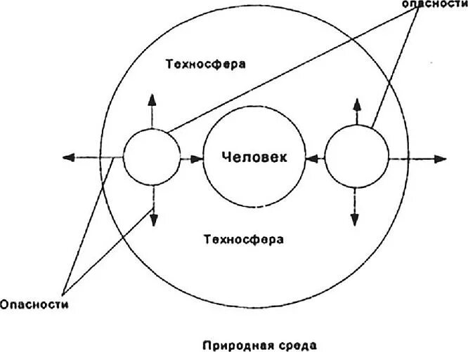 Система человек среда. Система человек среда