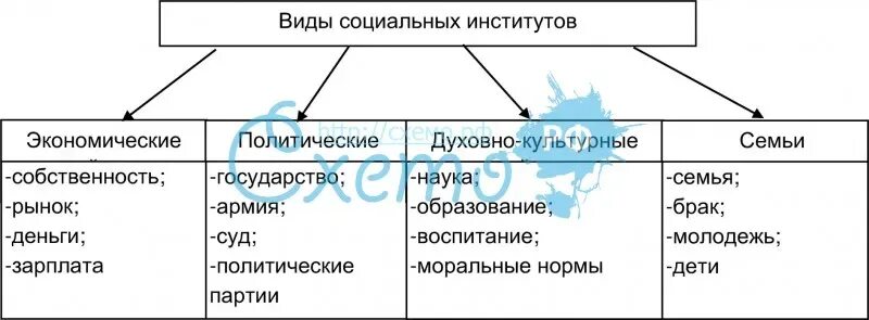 Социальные функции виды. Социальные функции виды