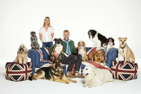 100 dogs