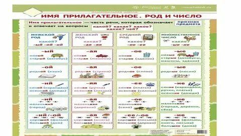 Имя прилагательное таблица 6 класс Примеры составных прилагательных (81 фото)