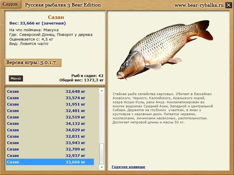 Русская рыбалка 3 база. Русская рыбалка 3 Ахтуба сазан. Сазан вес. Возраст и вес сазана. Русская рыбалка Bear Edition.