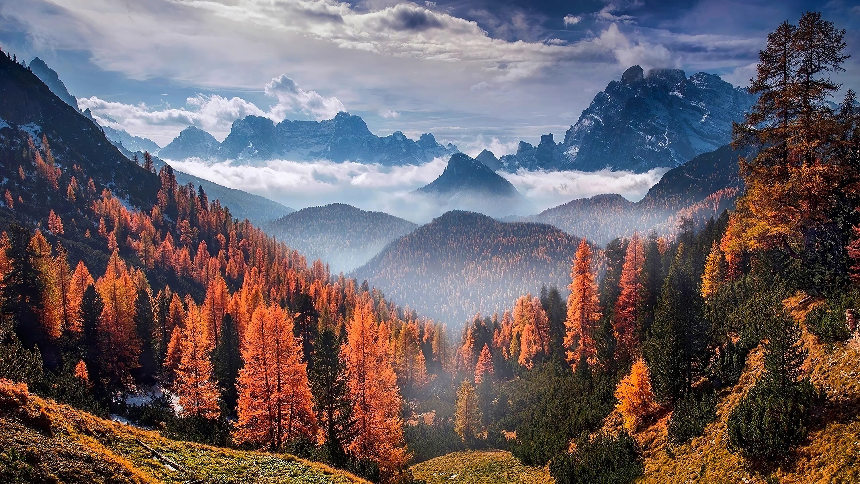 Красивые картинки на рабочий стол. Лесной пейзаж. Поставь природа 4. Поставь природа 4. Фотограф кевин макнил kevin mcneal.