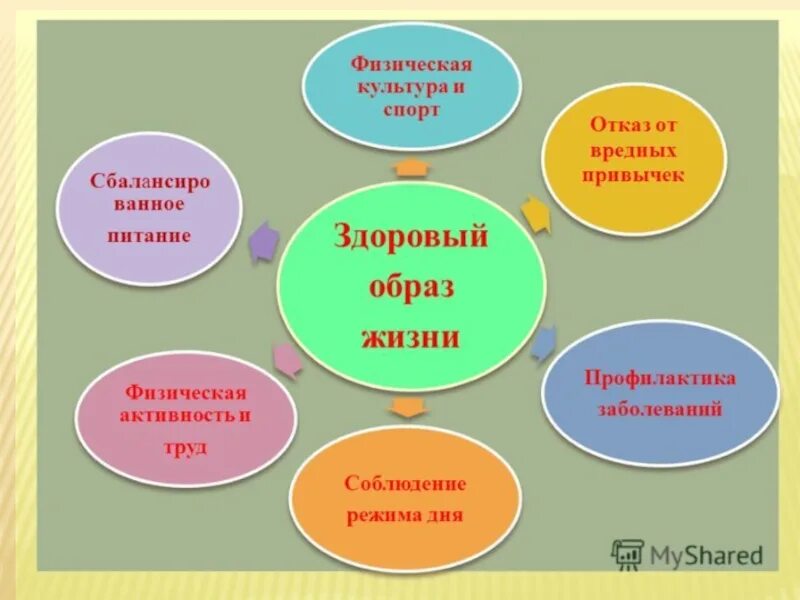 Здоровый образ жизни 9. Кластер на тему здоровый образ жизни. Твое здоровье в твоих руках презентация. Классных часов по здоровому образу жизни. Проект здоровый образ жизни.
