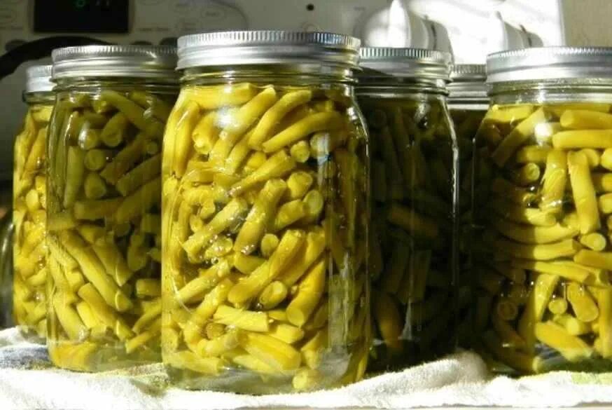 Стручковой фасоли на зиму. Фасоль спаржевая и стручковая. Салат из спаржевой фасоли на зиму. Салат со спаржевой фасолью на зиму. Стручковая фасоль в банках.