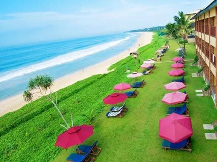 The long beach resort 4 шри