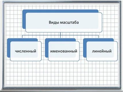 Масштабы назначение виды